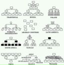 Дмитрий Полянский фотография #19 (источник - https://vk.com/id3368731)