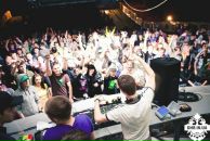 Фотография Bee Nick