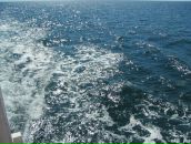 Сергій Кравцов фотография #27 (источник - https://vk.com/id60631899)