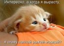 Віка Литвиненко фотография #4 (источник - https://vk.com/id137266373)