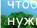 Іра Солтис фотография #46 (источник - https://vk.com/id139348216)