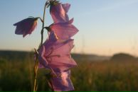 Ульяна Ткаченко фотография #9 (источник - https://vk.com/id29448010)