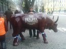 Міша Волчастий фотография #19 (источник - https://vk.com/id165777180)