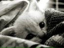 Маргарита Романівна фотография #4 (источник - https://vk.com/id239567178)