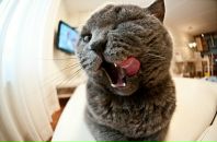 Фотография Хандогина Антона