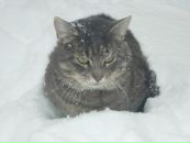 Вадім Бевз фотография #47 (источник - https://vk.com/id79254319)