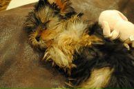 Еміль Гачаєв фотография #29 (источник - https://vk.com/id71097974)