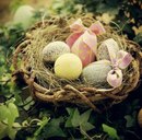 Андрій Рудан фотография #23 (источник - https://vk.com/id169666295)