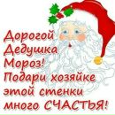 Фотография Чибиряк Веронии