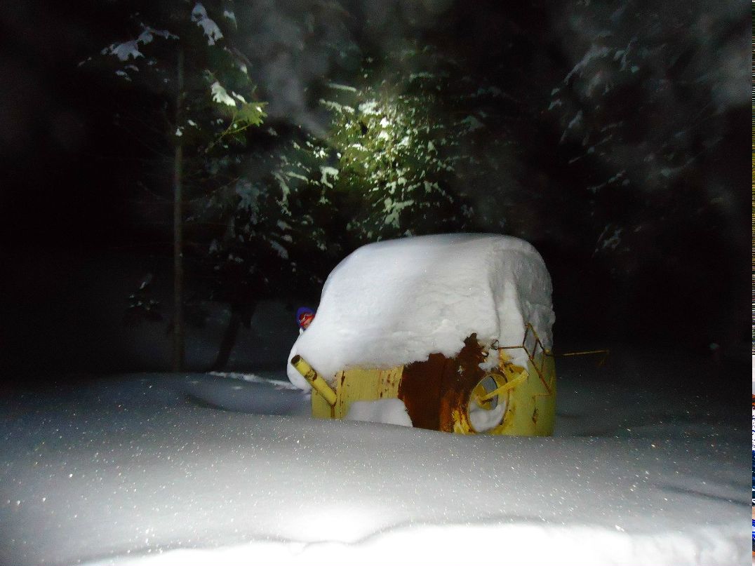 Missing Thing фотография #41