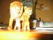 Фотография Кустовой Ольги