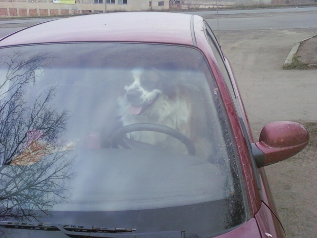 Кирилл Саенко фотография #24