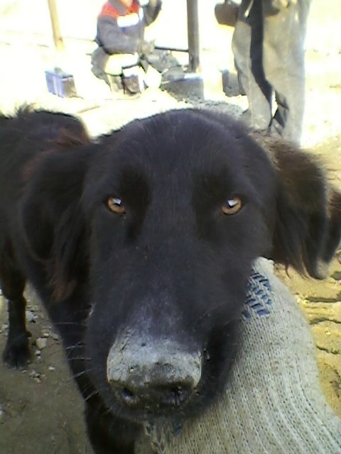 Сергей Волков фотография #36