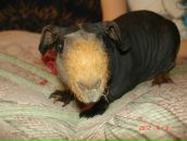 Фотография Мамонова Игоря