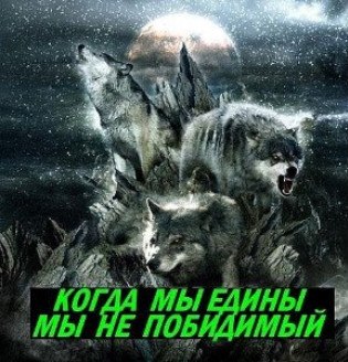 №3, Сергей Самылов №3, Сергей Самылов