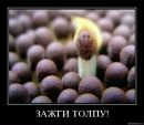 Фотография Чудецкого Александра