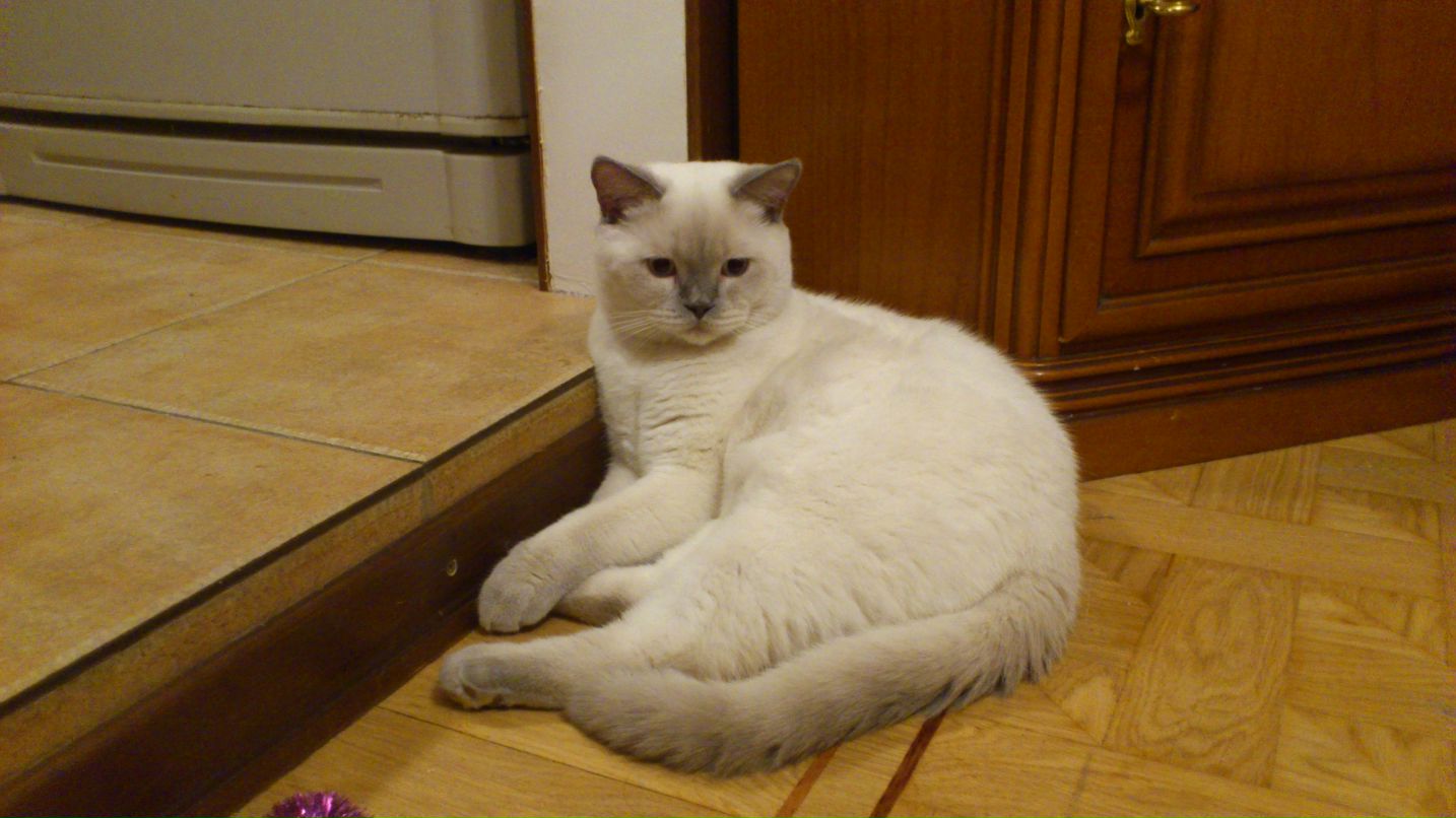 Евгений Упитер фотография #29