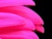 Віка Бритвак фотография #32 (источник - https://vk.com/id133376122)