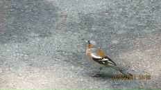 Наталія Торчинська фотография #28 (источник - https://vk.com/id11291283)