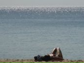 Фотография Романенко Сергея