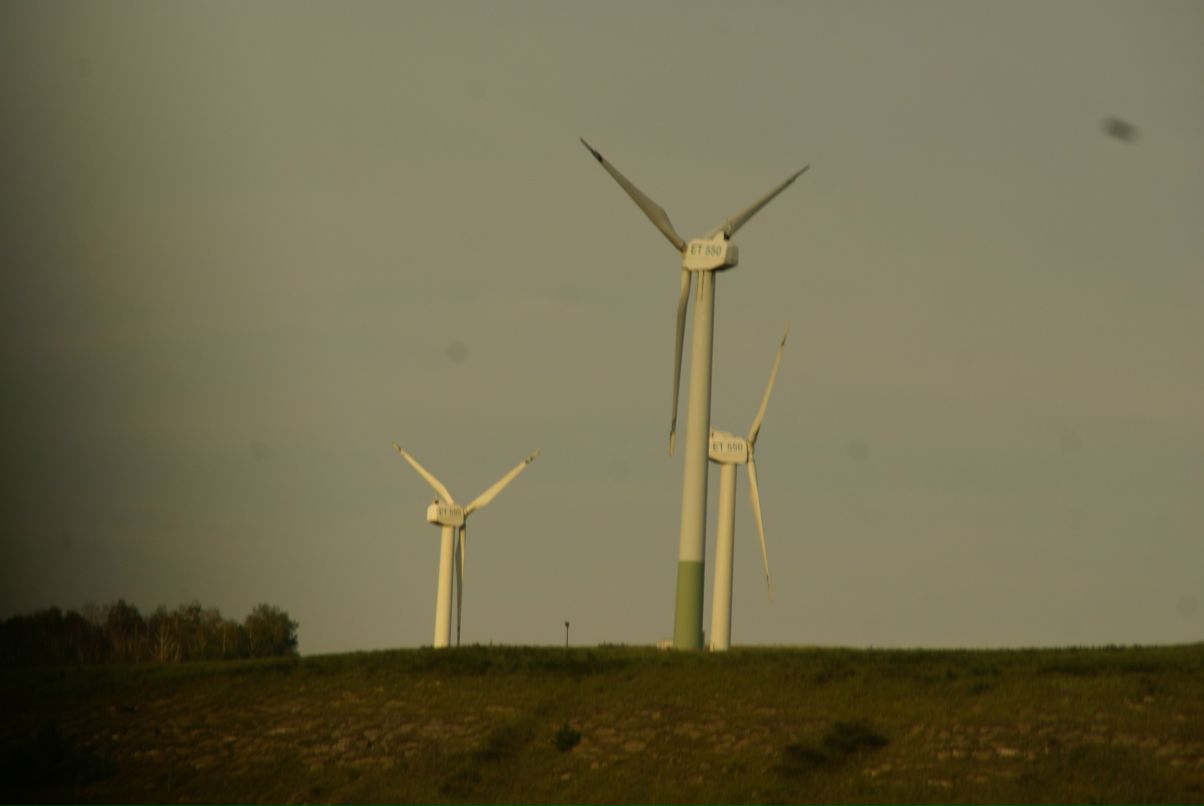 Степан Иванов фотография #41