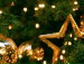 Дмитрий Сидоренко фотография #44 (источник - https://vk.com/id102488413)