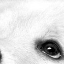 Альона Кіссс фотография #42 (источник - https://vk.com/id112118890)