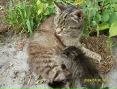 Ірина Бердичевська фотография #43 (источник - https://vk.com/id24145785)