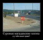 Nisssx :) фотография #48 (источник - https://vk.com/id4725410)