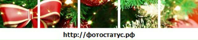 Віталій Штефаніца фотография #4 (источник - https://vk.com/id16771617)