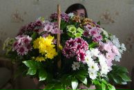 Фотография Плотниковой Елены