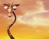 Фотография Максимова Максима