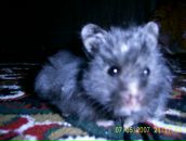 Наташа Сіваченко фотография #36 (источник - https://vk.com/id70384616)