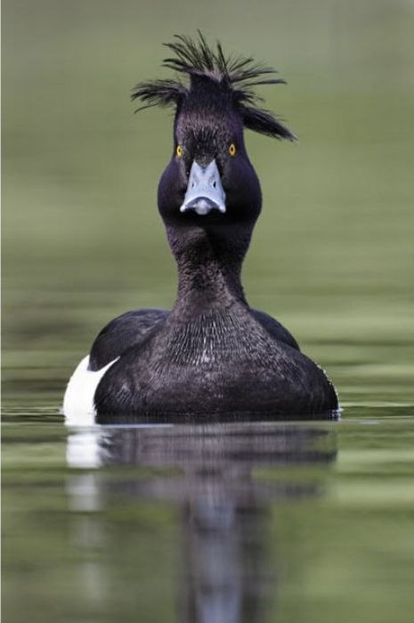 Дмитрий Беляев фотография #40