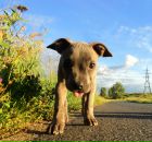 Фотография Жилякова Евгения