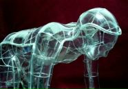 Илья Развин фотография #49 (источник - https://vk.com/id5012018)