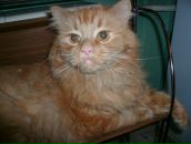 Фотография Щукина Николая