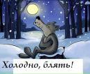 Наталія Муляр фотография #30 (источник - https://vk.com/id161950325)