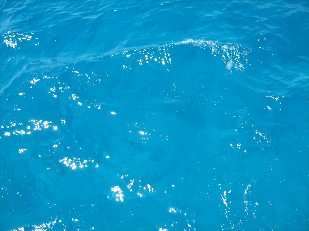 Максим Шевченко фотография #33