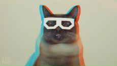 Фотография Баскова Алексея