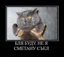 Сергій Балож фотография #36 (источник - https://vk.com/id126820752)