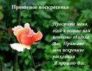 Ніна Тригуб фотография #19 (источник - https://vk.com/id154054310)