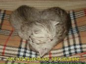 Іван Находкін фотография #20 (источник - https://vk.com/id16616537)