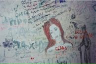 Фотография Медведевой Екатерины