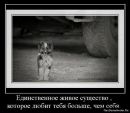 Фотография Ярош Натальи