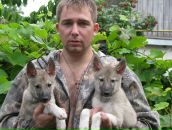 Фотография  