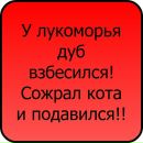 Олівія Остроцька фотография #4 (источник - https://vk.com/id166398799)