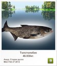 Людмила Бабікова фотография #30 (источник - https://vk.com/id155289329)