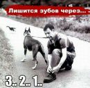 Іван Буткевич фотография #40 (источник - https://vk.com/id65252254)