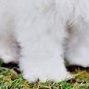 Вєталь Серйозний фотография #35 (источник - https://vk.com/id136859700)